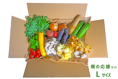 野菜セット | 野菜のカネマツ